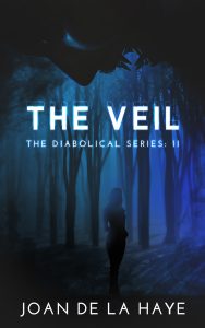 The Veil by Joan De La Haye
